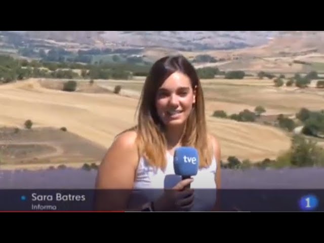 campos de lavanda en cuenca