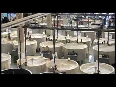 centros de investigación en canarias