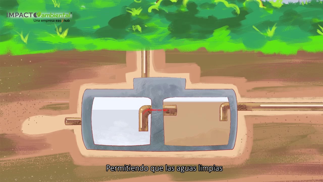 como funcionan las bacterias para fosa séptica