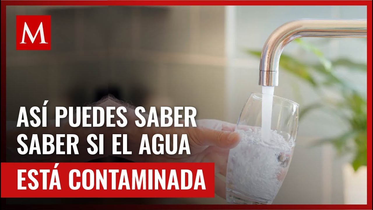 como saber si el agua es potable de forma casera