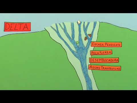 como se forma el delta