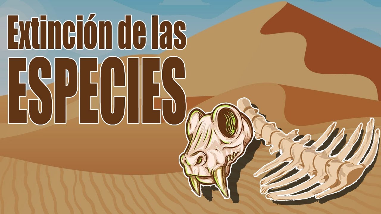 consecuencia de la extinción de especies