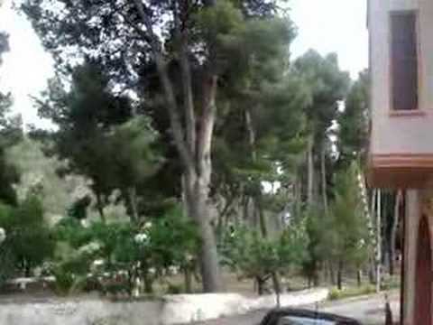 el prat lucena del cid