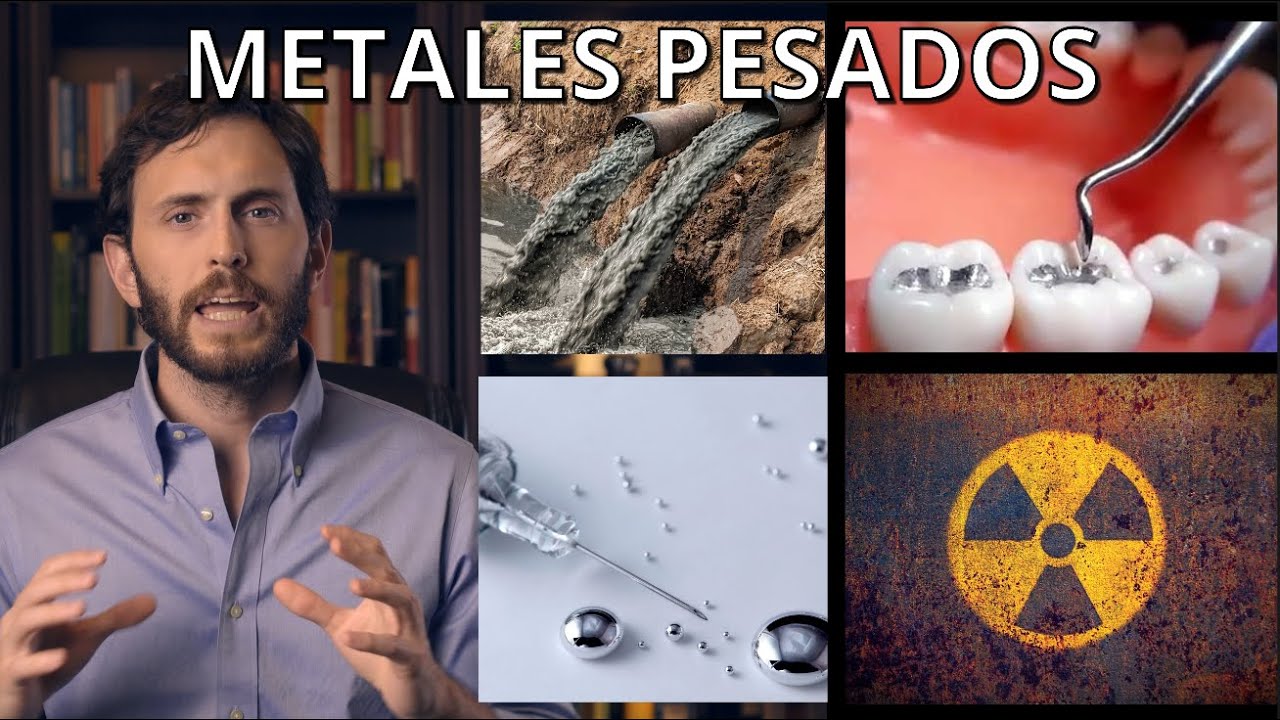 eliminar metales pesados del organismo