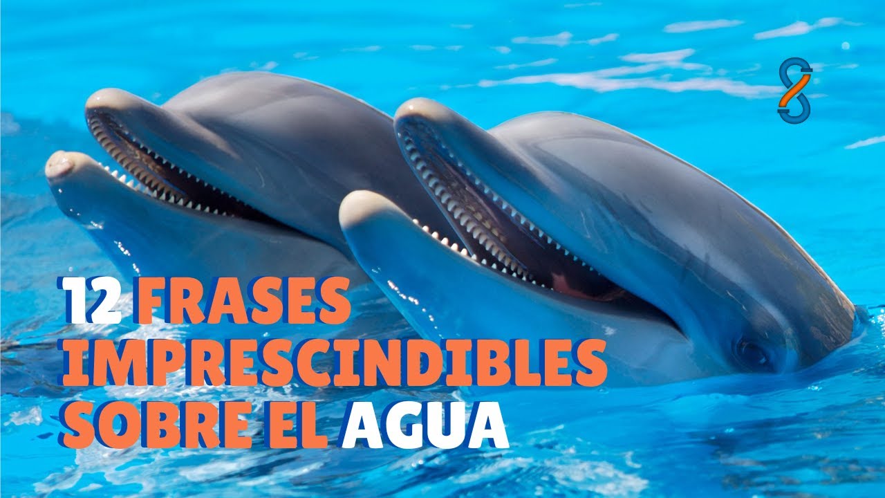 frases bonitas sobre el agua