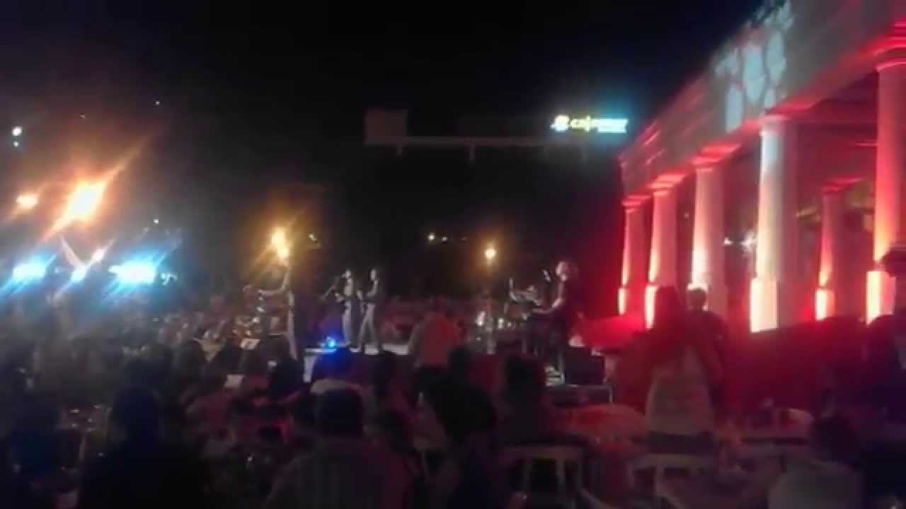 jardines del palau de la musica