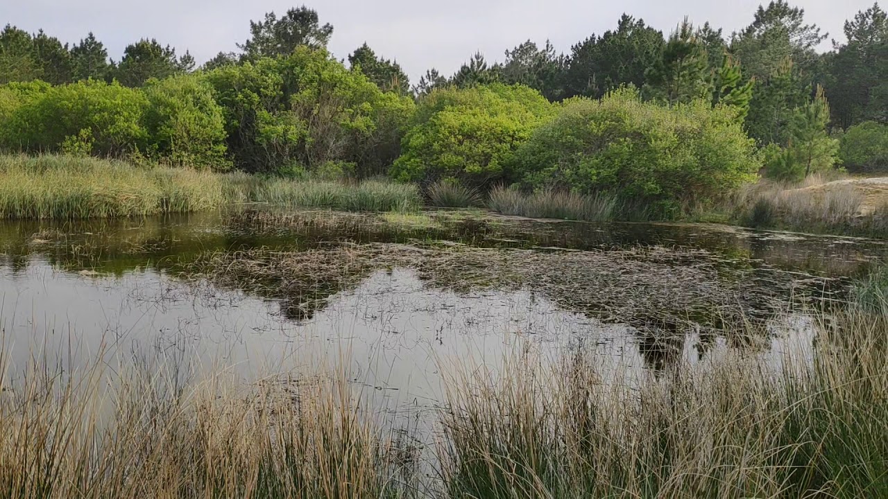 lagoa e areal de valdoviño
