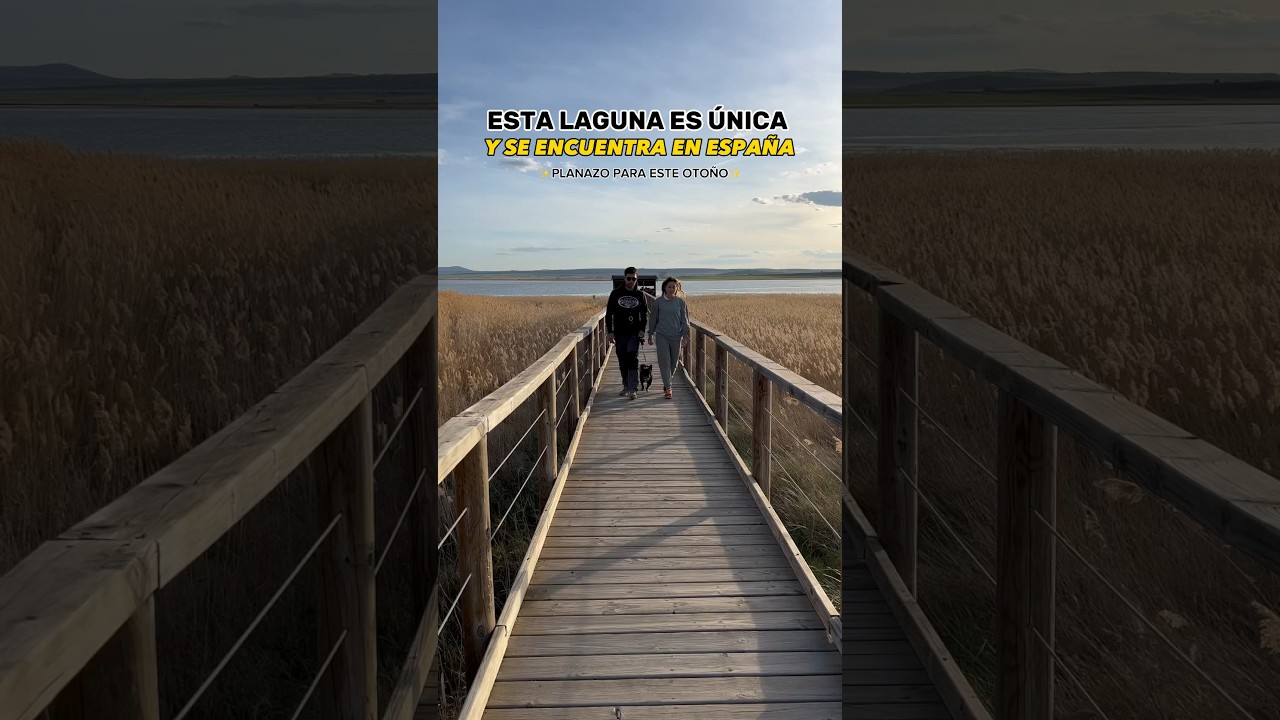 laguna de gallocanta visitas guiadas
