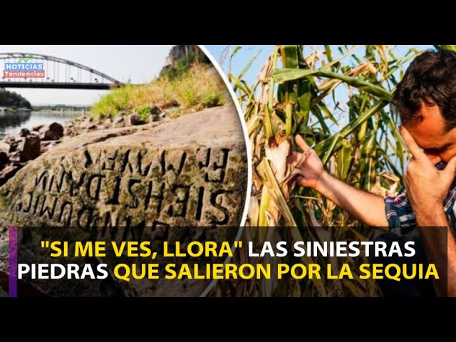si me ves llora piedra