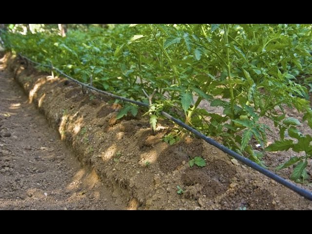 sistema de riego para huerta