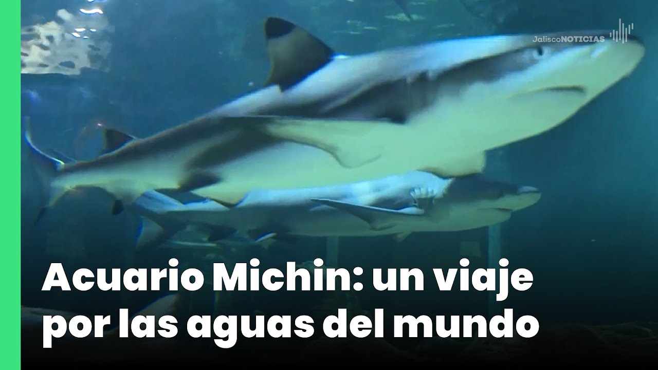 un viaje por las aguas del mundo
