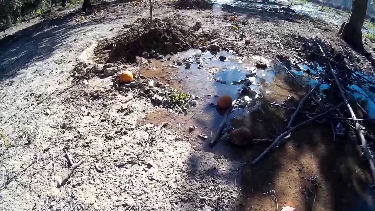 acequia real del jucar riego por goteo