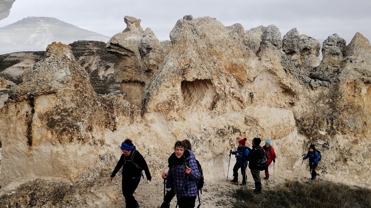agua viva de la vega soria