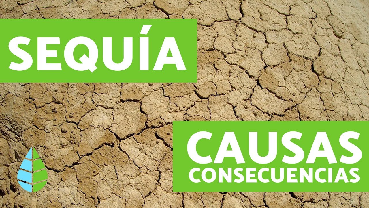 consecuencias de la sequia en españa