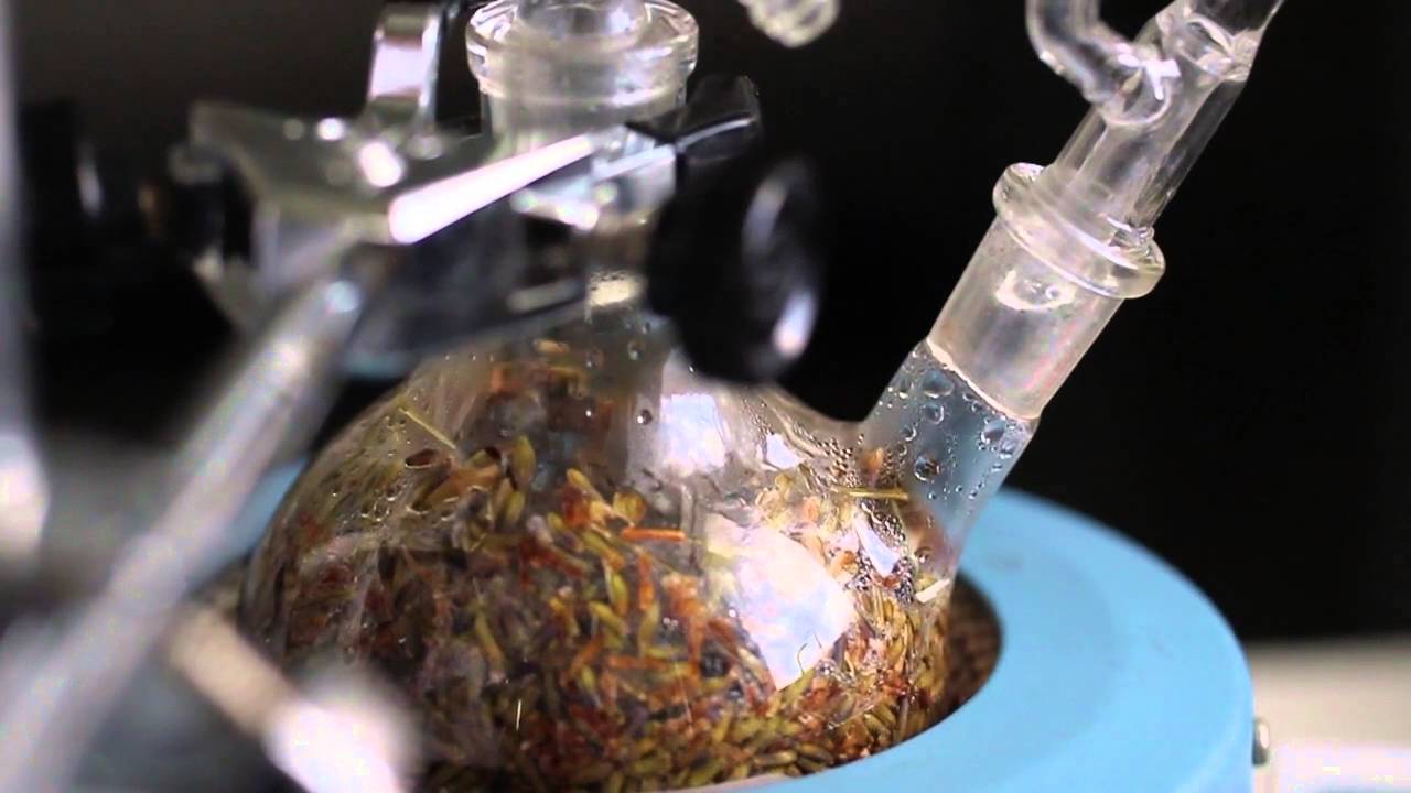 destilador por arrastre de vapor