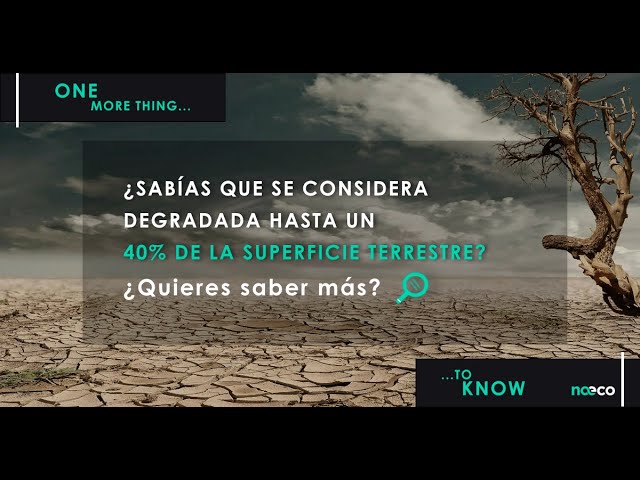 día mundial de lucha contra la desertificación y la sequía