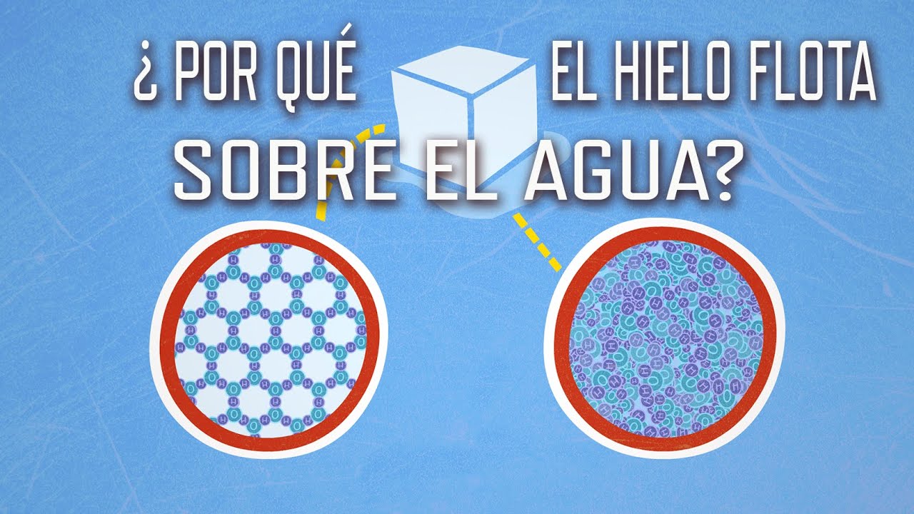 el hielo es mas denso que el agua