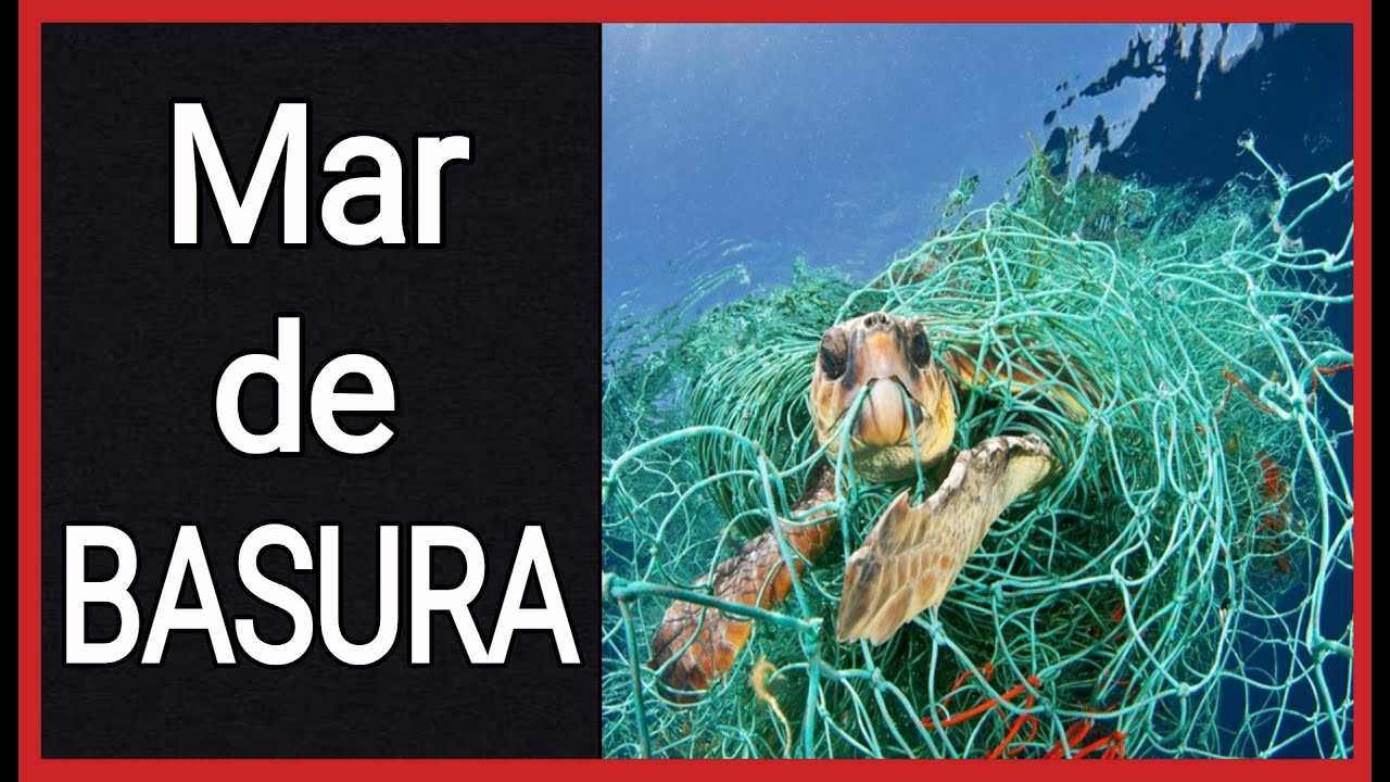 el mar menos contaminado del mundo