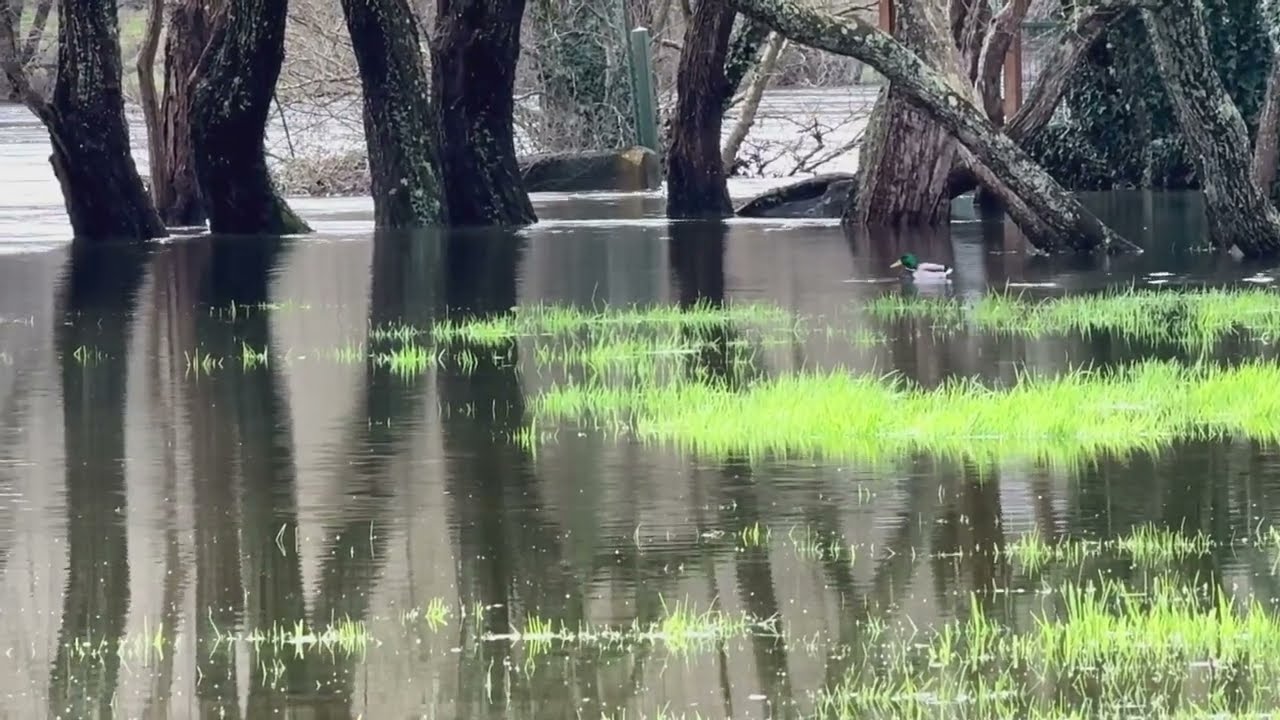 el miño se desborda en lugo