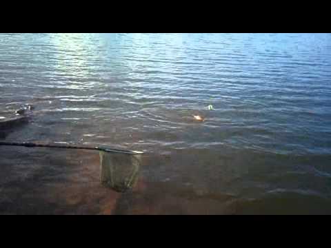embalse del puerto de vallehermoso pesca