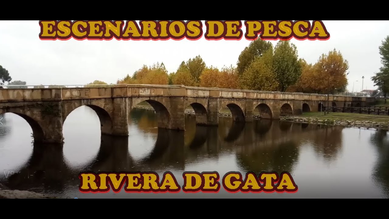 embalse rivera de gata pesca