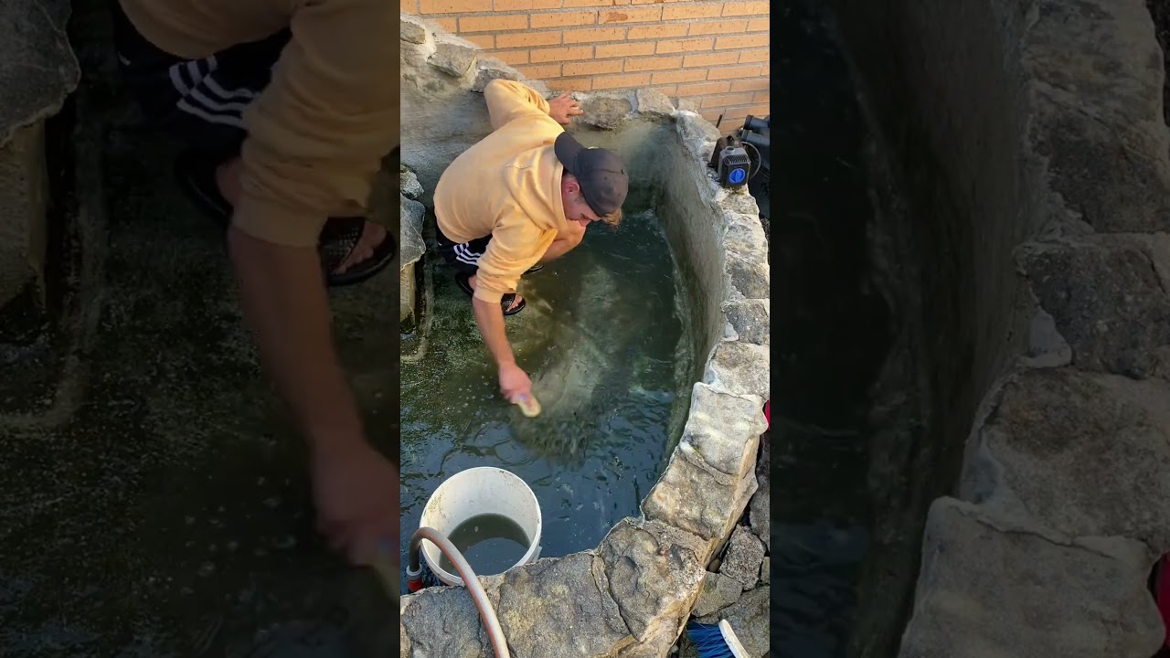 estanque pequeño donde se tienen peces