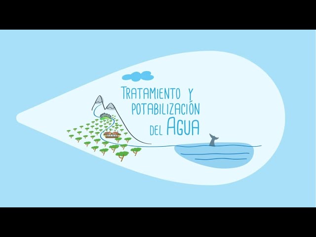 fases de la potabilizacion del agua