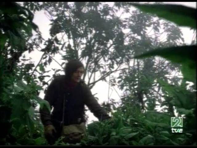 jane goodall gorilas en la niebla