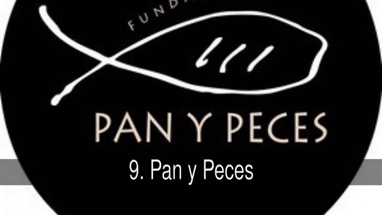 ong más importantes en españa