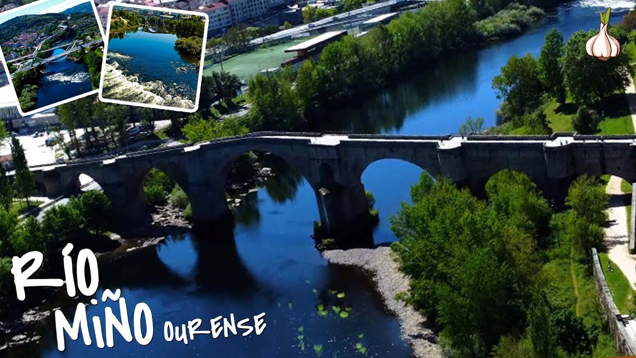 principales afluentes del rio miño
