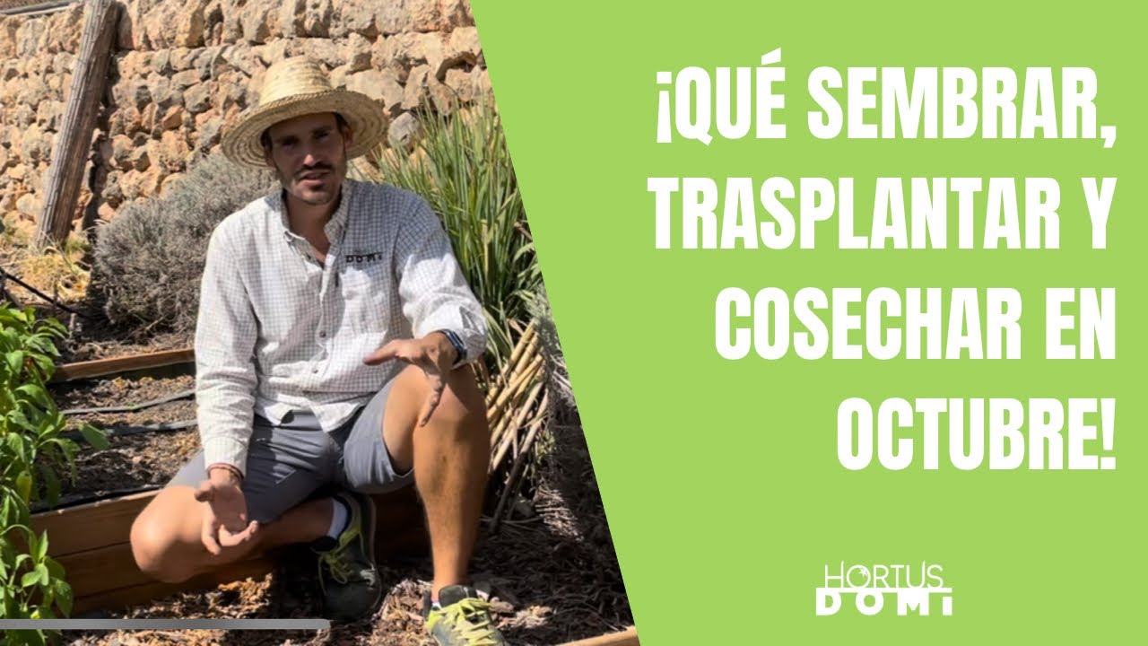 que plantar en octubre en murcia
