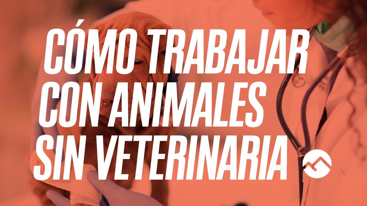 trabajos con animales sin experiencia