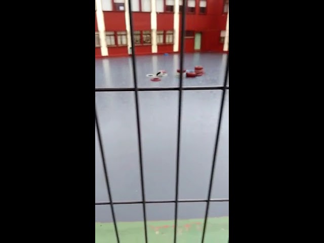 colegio vicente tofiño san fernando
