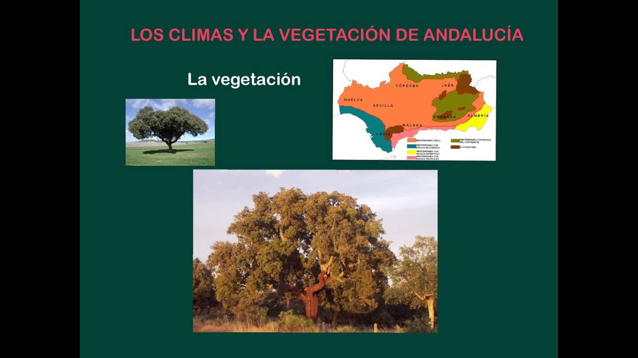 como es el clima en andalucia