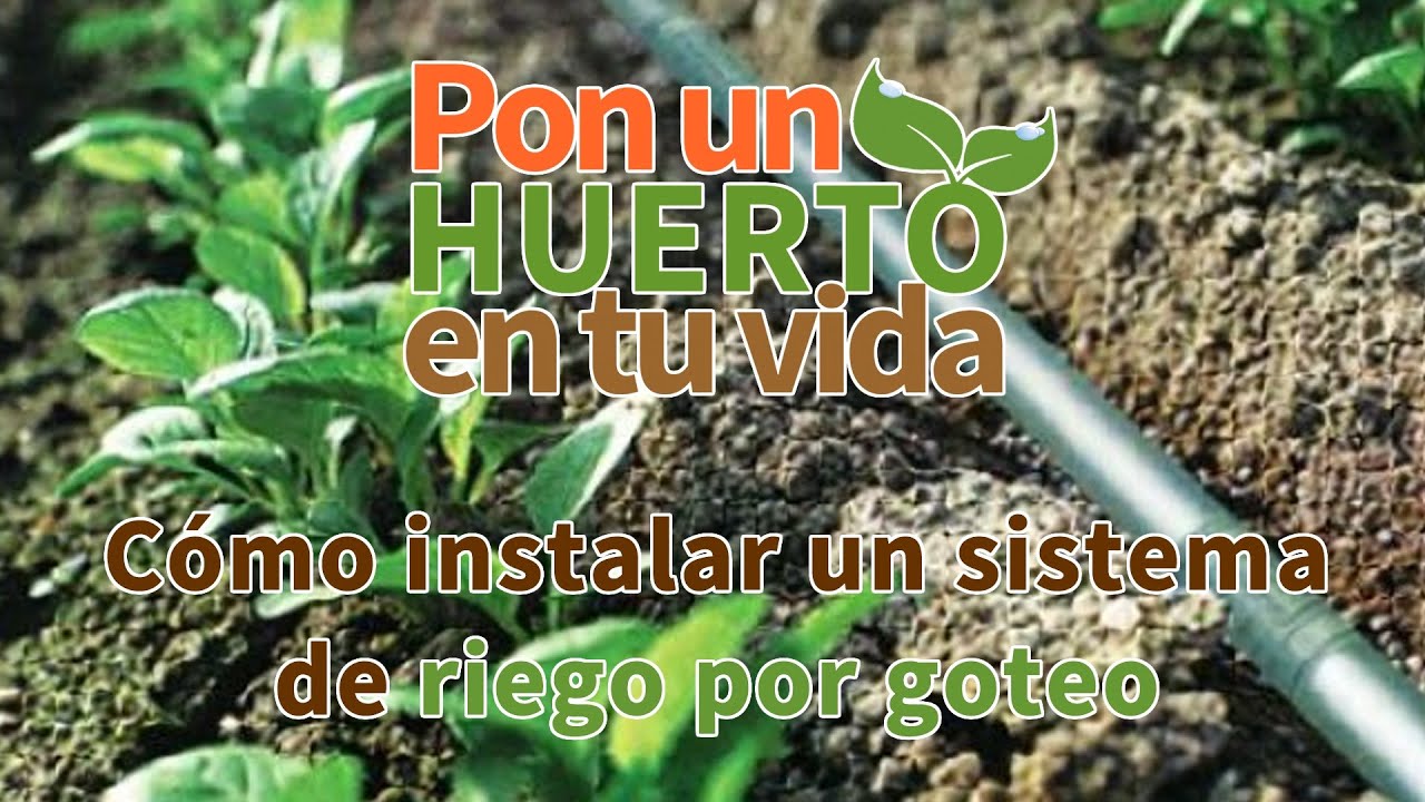 como instalar riego por goteo en huerto