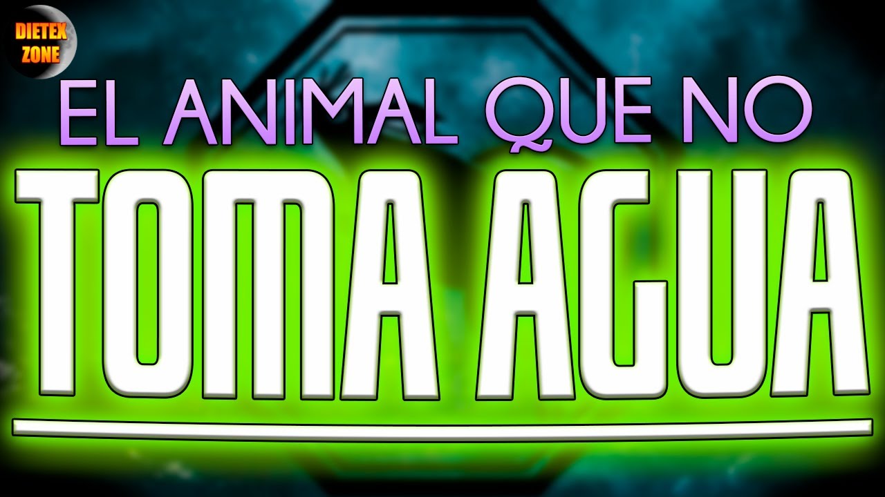 cual es el animal q puede sobrevivir sin agua