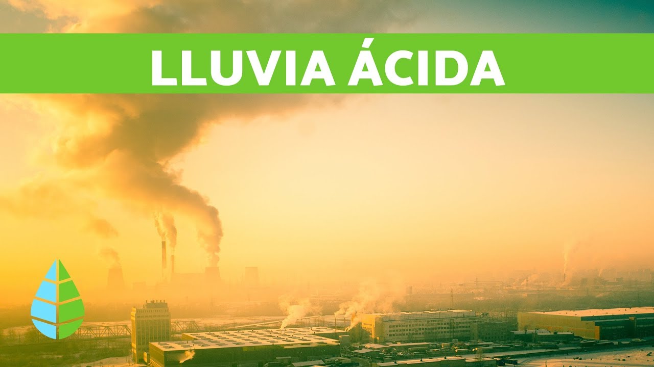 cuáles son las consecuencias de la lluvia ácida