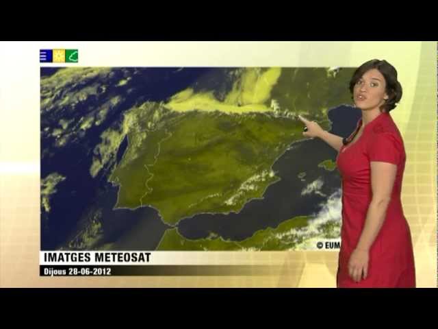 el tiempo sant vicenç dels horts meteocat