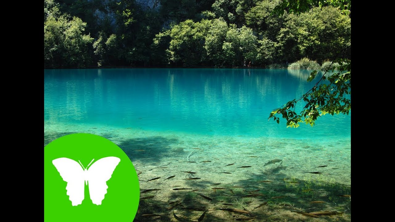 en que estados podemos encontrar el agua en la naturaleza