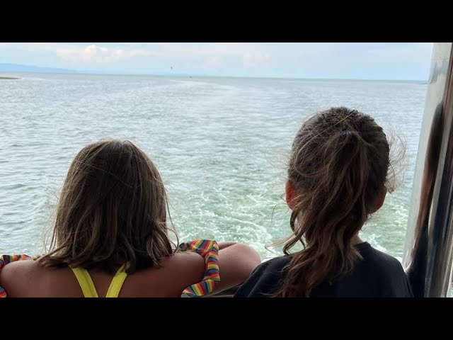 estado del mar en riumar
