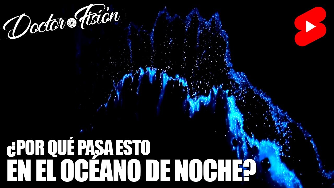 hasta donde llega la luz en el mar