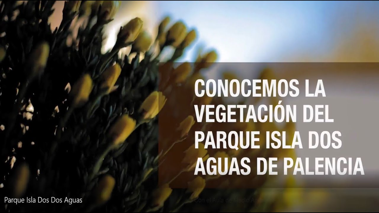 parque isla dos aguas palencia