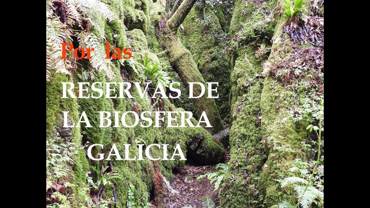 reserva de la biosfera galicia